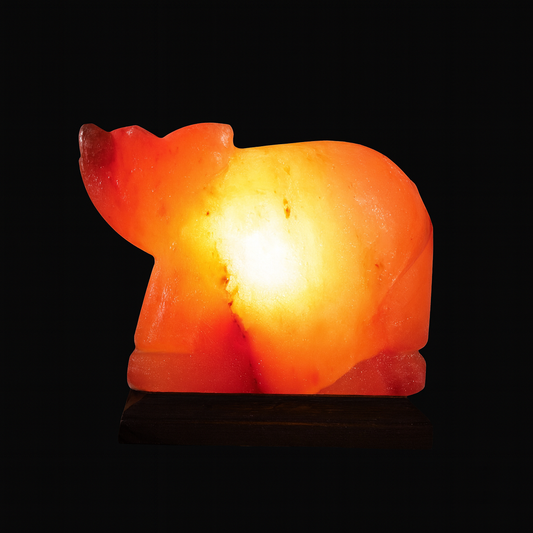 Himalayan Salt Bear Lamp – Hand-Carved Wellness Light