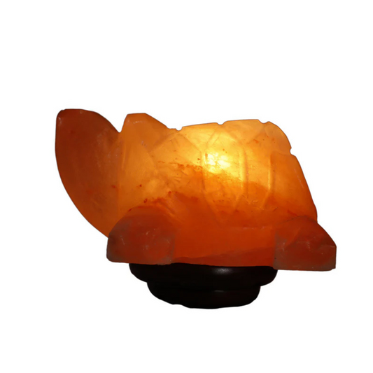 Turtle Salt Lamp