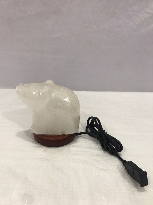 USB Lamp White With Wooden Base, Polar Bear 10 x 5 x 7.5cm - RocksaltIE